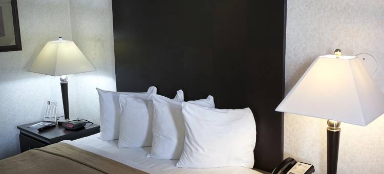 圣乔治南布拉夫品质酒店(Quality Inn Saint George South Bluff)图片