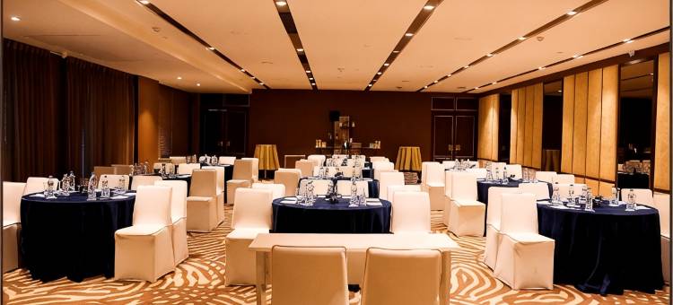 勒克瑙城市中心丽筠酒店(Radisson Lucknow City Center)图片