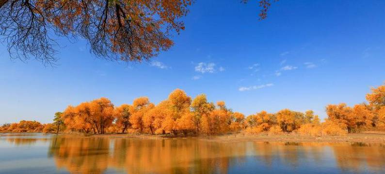 额济纳旗豪泰宾馆图片