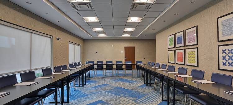 格林维尔泰勒斯智选假日套房酒店(Holiday Inn Express & Suites Greenville - Taylors)图片