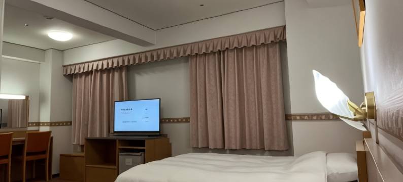 新泻Alpha-1酒店(Hotel Alpha-One Niigata)图片