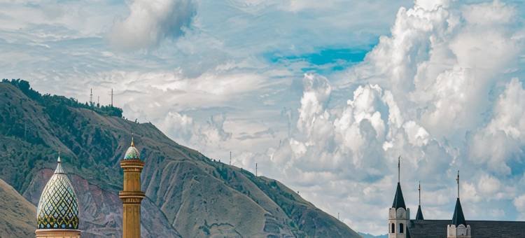 Horison Sentani图片