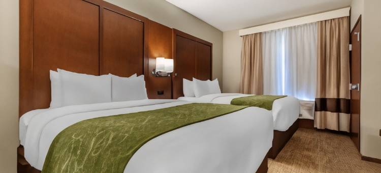 舒适套房酒店(Comfort Suites)图片
