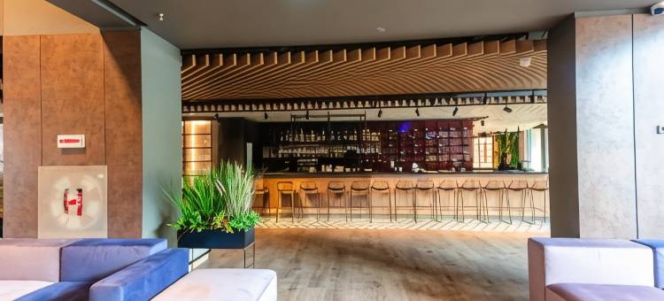 宜必思尚品锡比乌酒店(Ibis Styles Sibiu Arsenal)图片