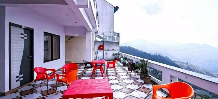 绿洲棕榈Rubystone异域(Green Palms Rubystone Exotic)图片