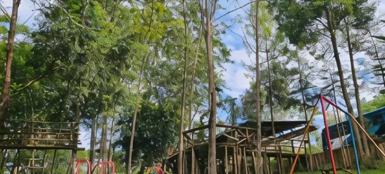 卢肖托行政旅馆(Lushoto Executive Lodge)图片