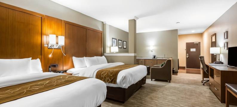 舒适套房酒店-大学(Comfort Suites - University)图片