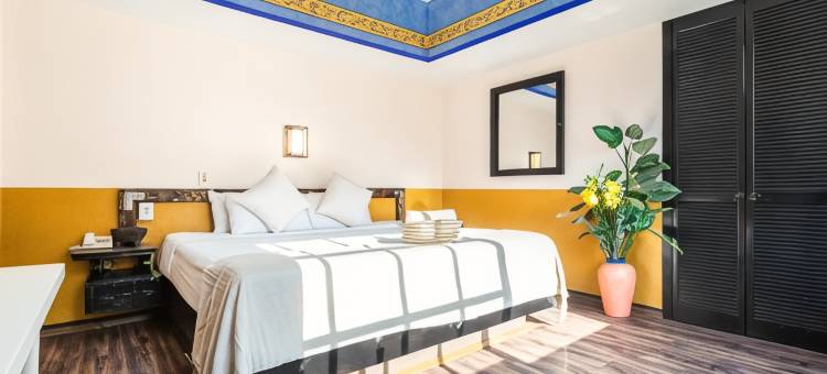我是当地人CDMX(Hotel Benedicta)图片