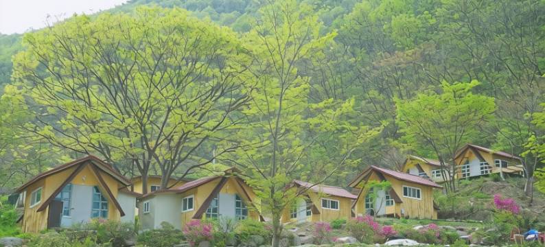 Wanju Yewon Camping Site图片