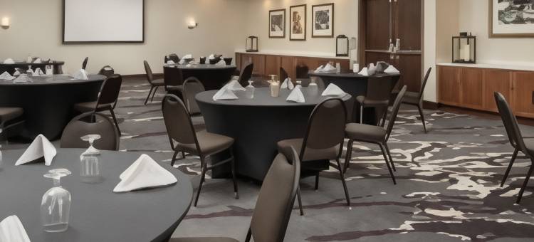 夏洛特机场希尔顿花园酒店(Hilton Garden Inn Charlotte Airport)图片