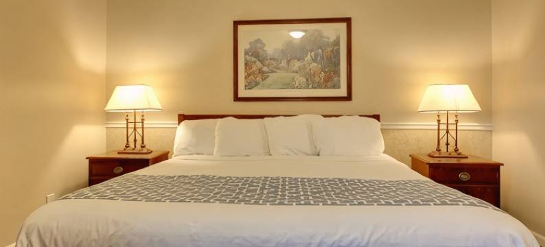 罗克福德高山假日酒店和套房(Alpine Inn & Suites Rockford)图片