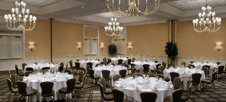 格林维尔希尔顿酒店(Hilton Greenville)图片