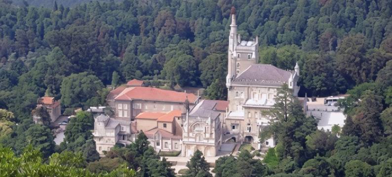 布萨科阿莱格里酒店(Alegre - Bussaco Boutique Hotel)图片