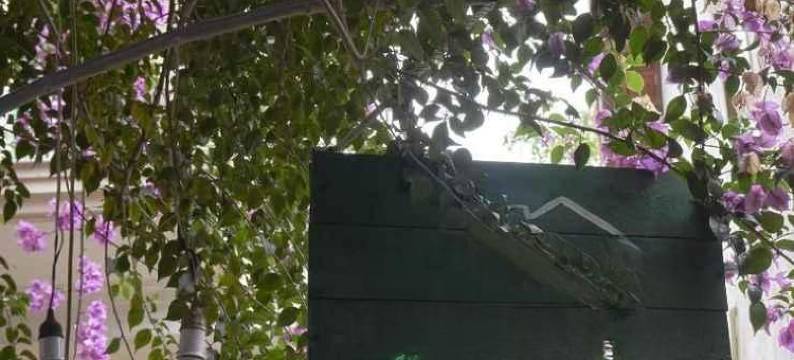 似曾相识家庭旅馆(Deja Vu Homestay)图片