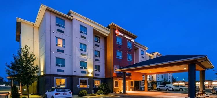 埃斯特万贝斯特韦斯特优质套房酒店(Best Western Plus Estevan Inn  Suites)图片