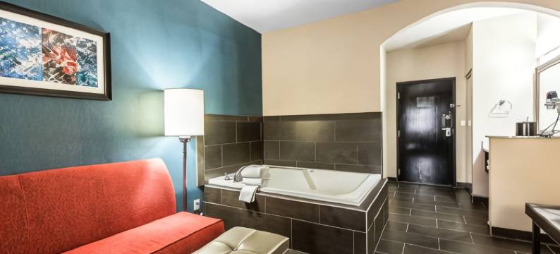 舒适套房酒店-费尔格朗斯西(Comfort Suites Fairgrounds West)图片