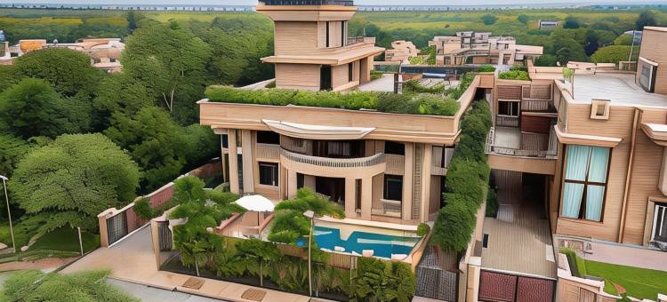 杏仁树旅馆(The Almond Tree)图片