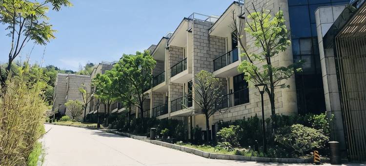 藏龙大别山度假酒店图片