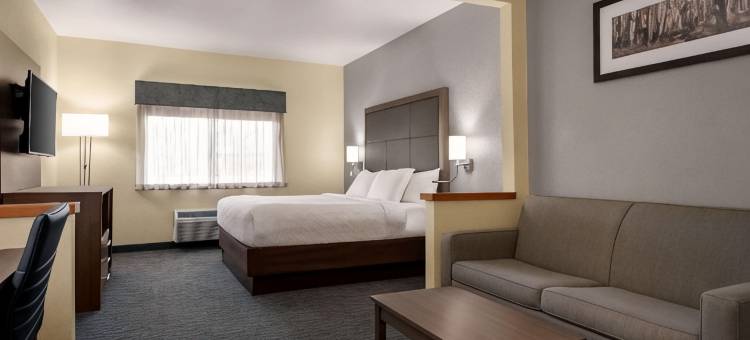 贝斯特韦斯特Plus纸谷酒店(Best Western Plus Paper Valley Hotel)图片