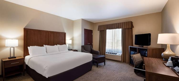 舒适套房酒店-拉斯维加斯内利斯(Comfort Inn & Suites Las Vegas - Nellis)图片