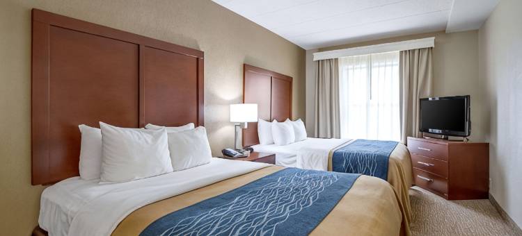 印地安纳波利斯北舒适酒店-卡梅尔(Comfort Inn Indianapolis North - Carmel)图片