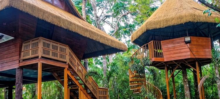 Diwata 自然度假村(Diwata Nature Resort)图片