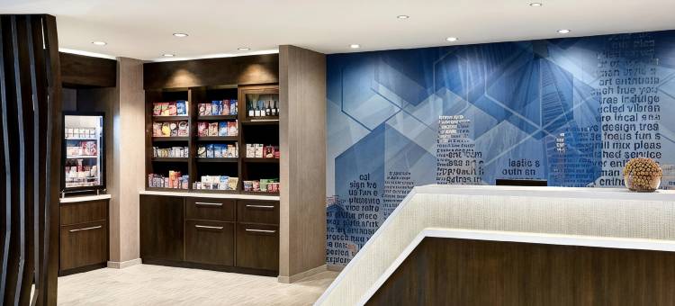 底特律迪尔伯恩SpringHill Suites酒店(SpringHill Suites Detroit Dearborn)图片