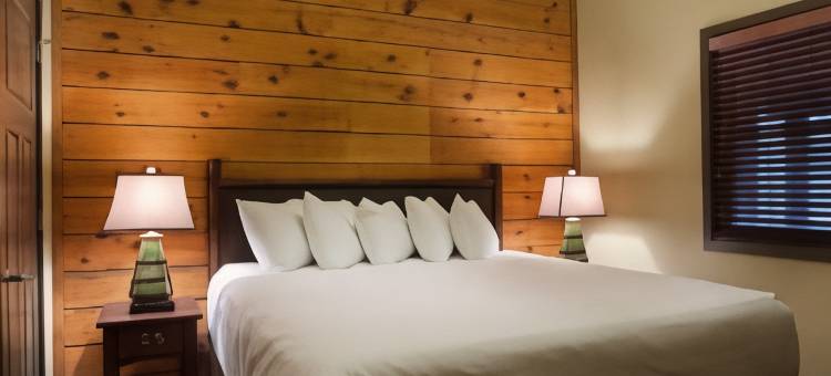 蓝绿假期圣诞山村度假村, an Ascend Collection Resort(Bluegreen Vacations Christmas Mountain Village, an Ascend Collection Resort)图片