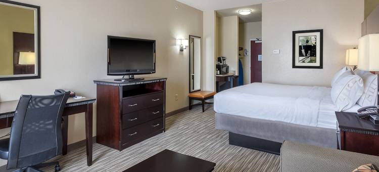 智选假日套房酒店达拉斯西(Holiday Inn Express & Suites DALLAS W - I-30 COCKRELL HILL by IHG)图片