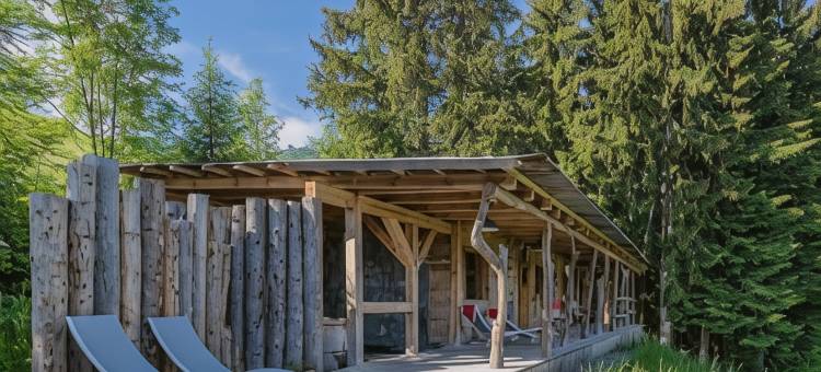 托普茨魏西门林德伯格瑞士阿尔卑斯山旅馆(Rinderberg Swiss Alpine Lodge)图片