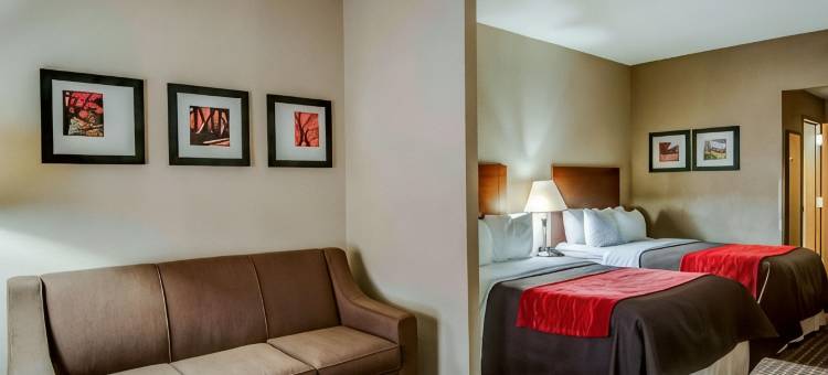 舒适套房酒店-拉芬列克星敦I-81和I-64附近(Comfort Inn & Suites Raphine - Lexington Near I-81 and I-64)图片