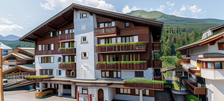 斯戴恩贝克酒店(Hotel Steinbock)图片