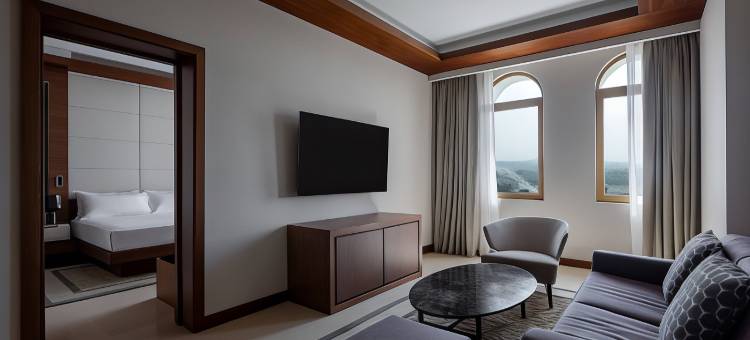 阿尔及尔巴布埃祖瓦尔万豪酒店(Algiers Marriott Hotel Bab Ezzouar)图片