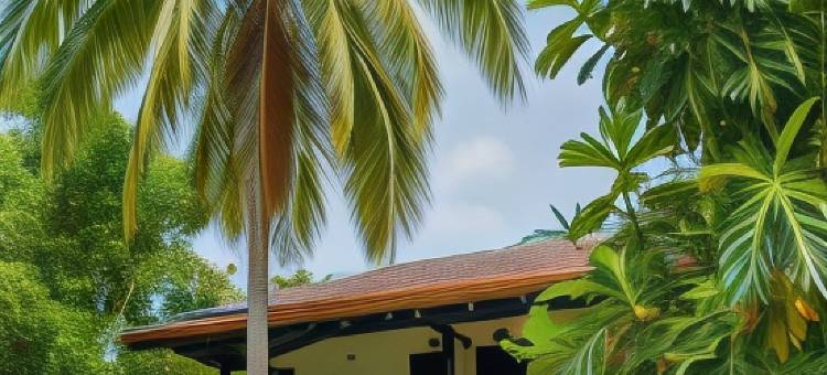 科科努科海滩帕洛米诺(Coconuco Beach Palomino)图片