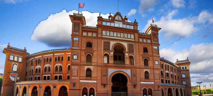 马德里阿提姆酒店(Artiem Madrid)图片