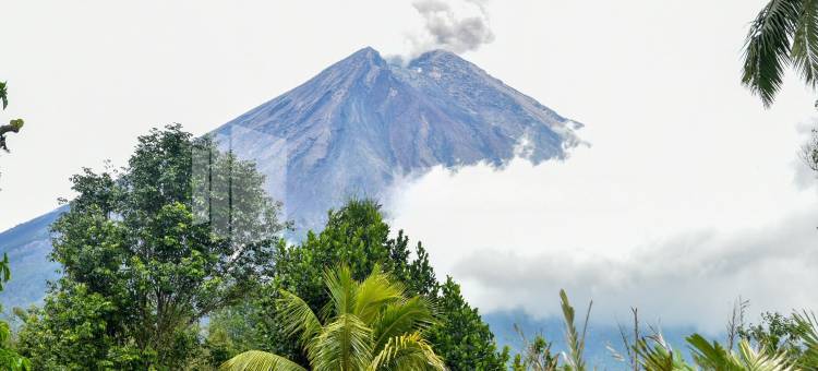 卢马姜红多兹樊塔民宿(RedDoorz @ Fanta Homestay Lumajang)图片