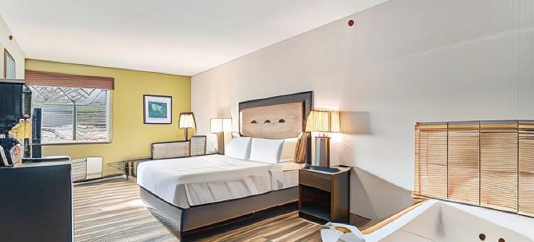 南黑文丽笙乡村套房酒店(Country inn and Suites by Raddison South Haven)图片