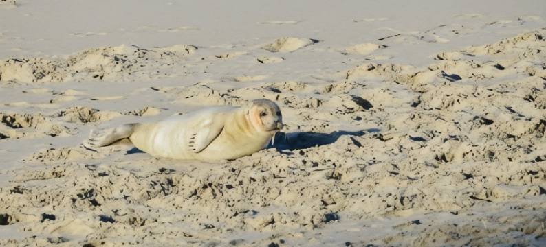 海运学校酒店(Hotel De Zeevaartschool)图片