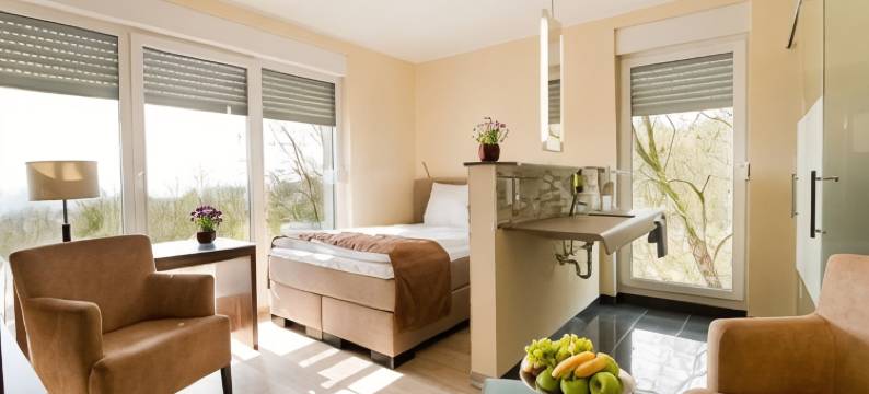 斯坦奈内斯施维辰设计会议酒店及餐厅(Design-Konferenzhotel & Restaurant Steinernes Schweinchen)图片