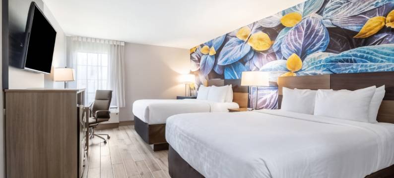 南波士顿 - 丹维尔东凯隆波因特酒店(Clarion Pointe South Boston - Danville East)图片