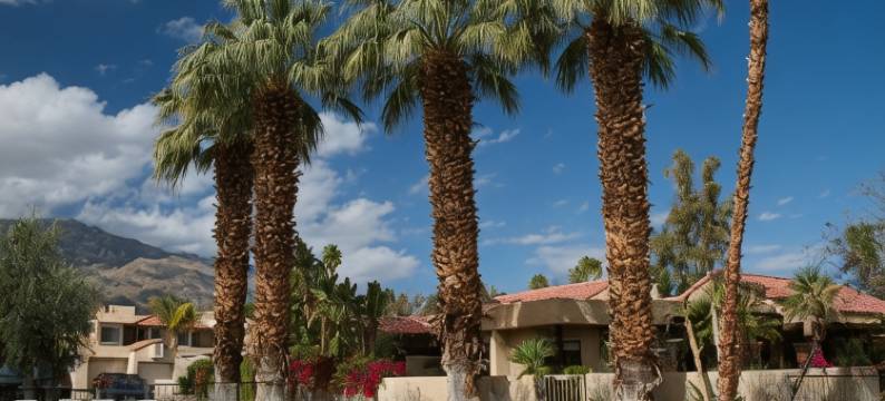 绿洲度假酒店(The Oasis Resort)图片
