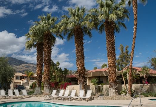 The Oasis Resort Hotel Overview