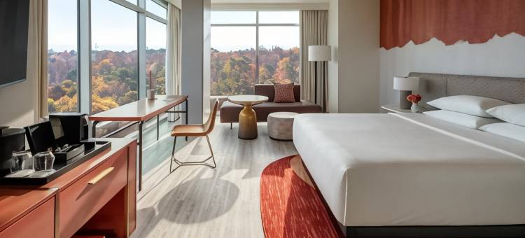 亚特兰大巴克海特凯悦尚萃酒店(Hyatt Centric Buckhead Atlanta)图片