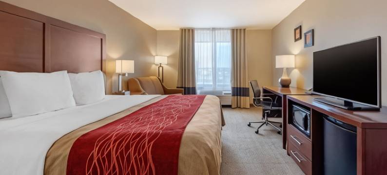 舒适酒店(Comfort Inn Limon)图片