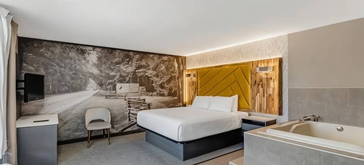 LeConte汽车旅馆华美达由维亚德姆(The Wander Hotel, a Ramada by Wyndham)图片