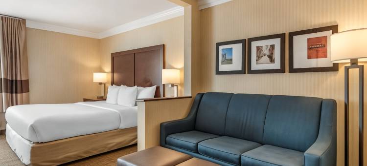 卡莱尔市中心舒适套房酒店(Comfort Suites Downtown Carlisle)图片