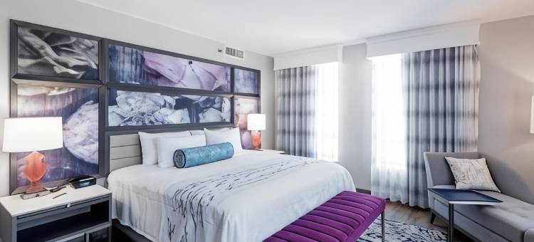 英迪格酒店伯明翰五点南 - 阿拉巴马大学伯明翰分校 by IHG(Hotel Indigo Birmingham Five Points S - UAB)图片