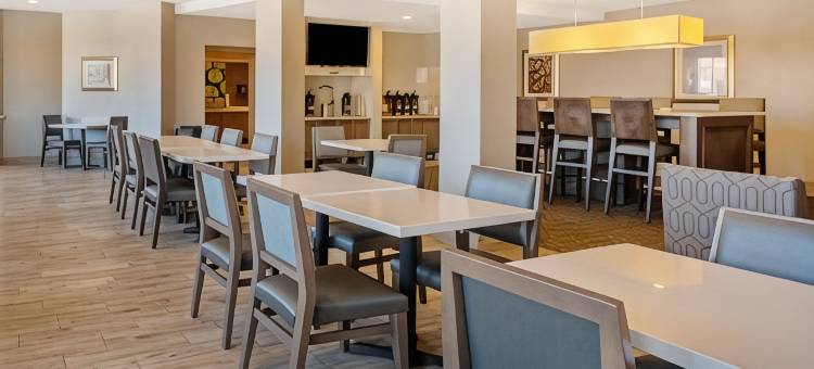 威廉斯堡历史区拉昆塔温德姆套房酒店(La Quinta Inn & Suites by Wyndham Williamsburg Historic Area)图片