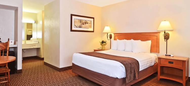 柏奇伦戴斯酒店(Days Inn Birch Run)图片