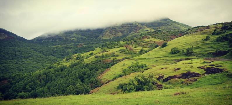 Karjat Farm Resort Sparsh图片